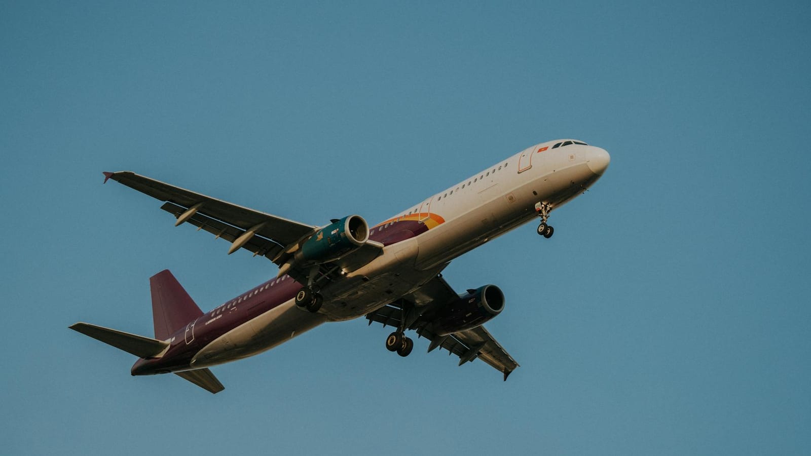 Airline CEO Dies at Sri Lanka Cricket Icon's Home