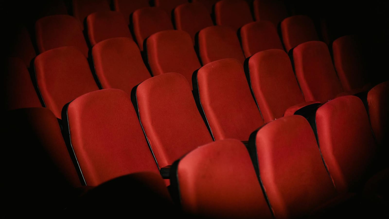 Hindi film reviews reveal Bollywood's comfort and novelty push