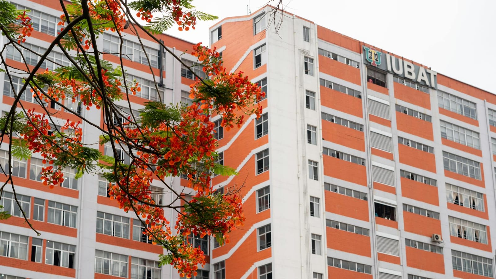 IIT Bombay Leads Maharashtra Engineering College Rankings