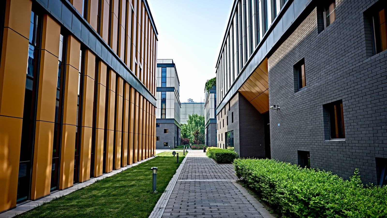 IIT Bombay Leads Maharashtra Engineering Rankings