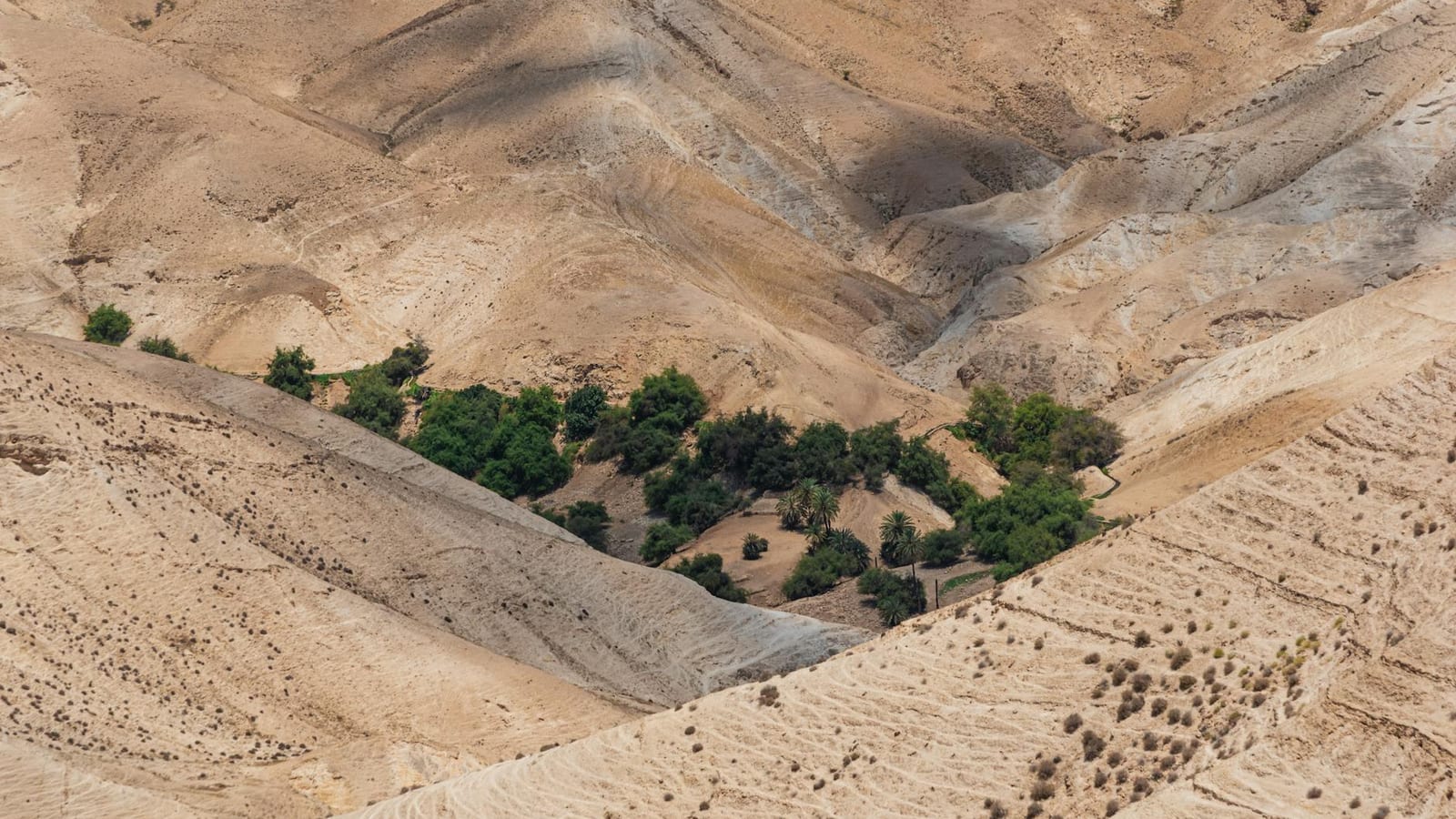 Israel Keeps Lebanon Strike Option Open In Trump Call