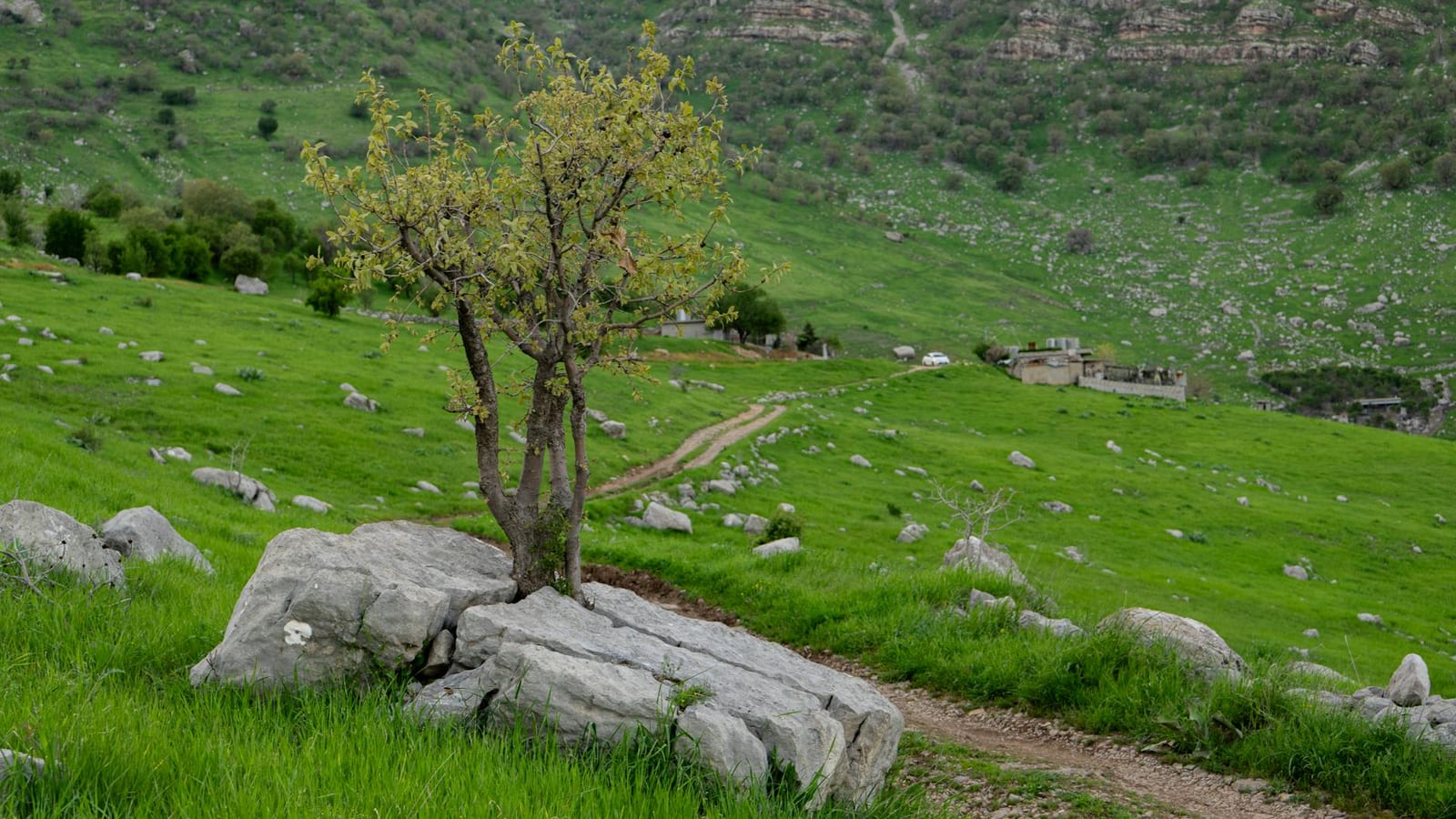 Israel Loses Eight Soldiers In Lebanon Ground Push