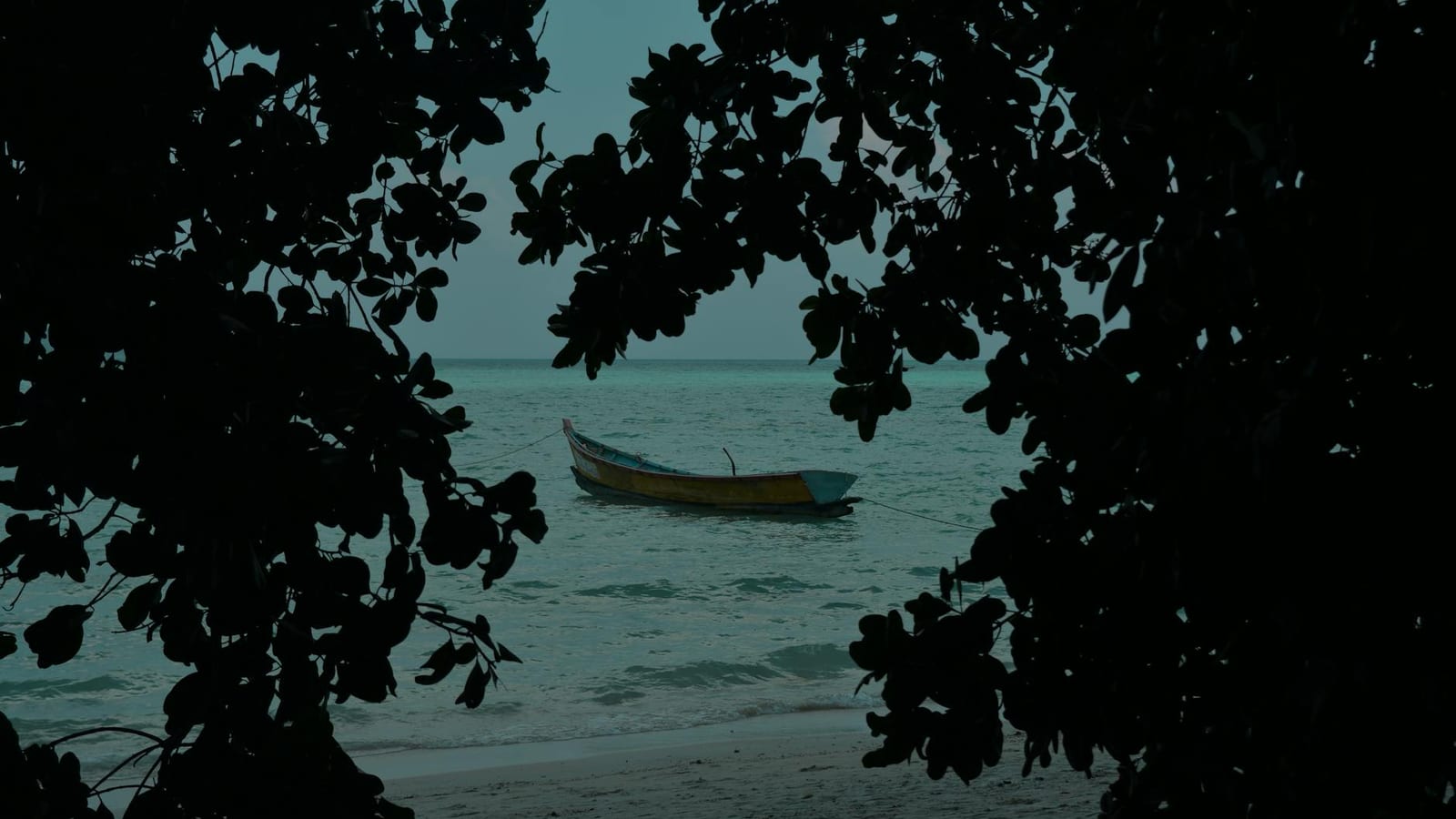 Lakshadweep Boat Scare Puts Tourist Safety in Focus