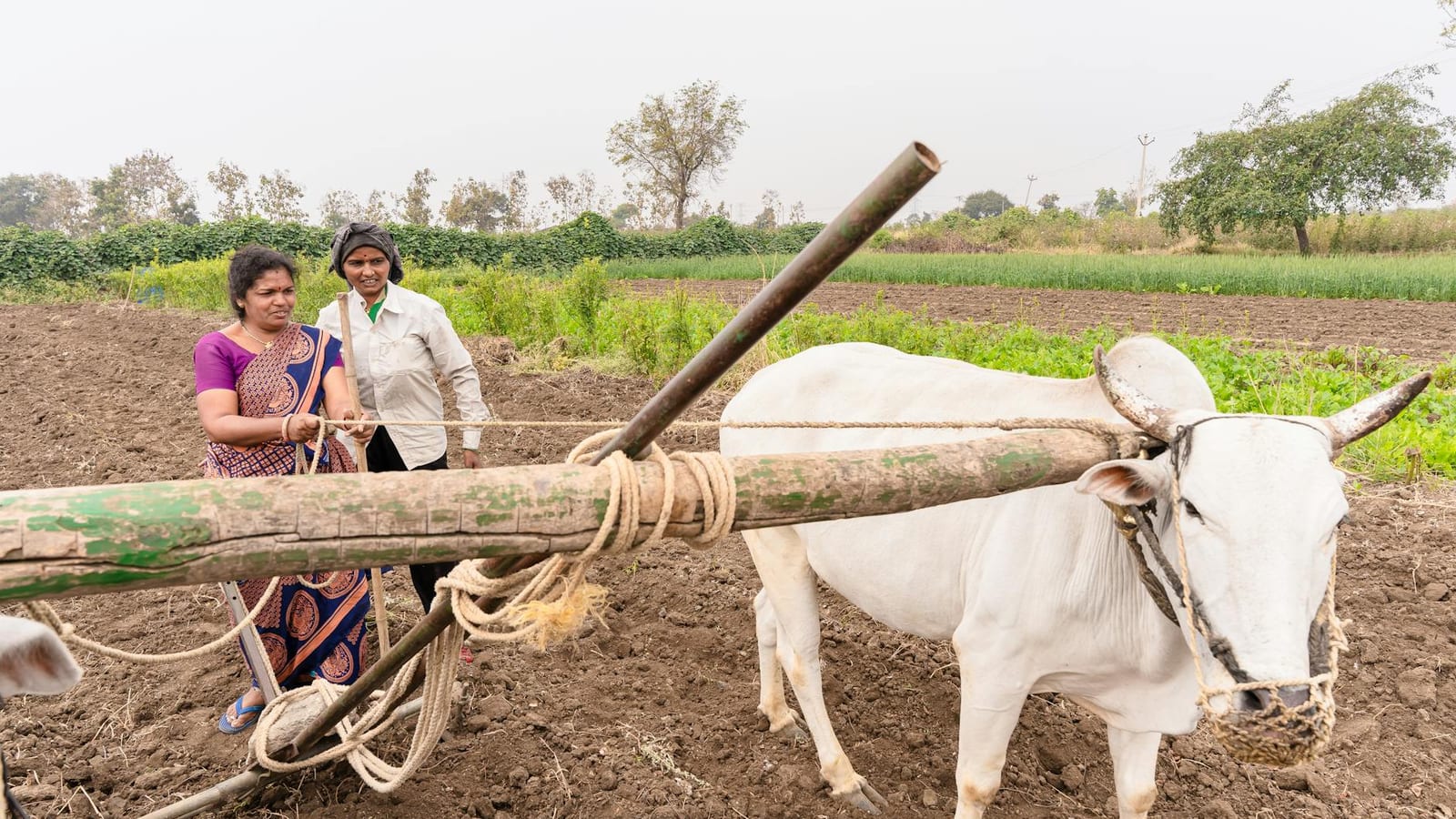 Maharashtra farmers, ex-Maoist open new fault lines