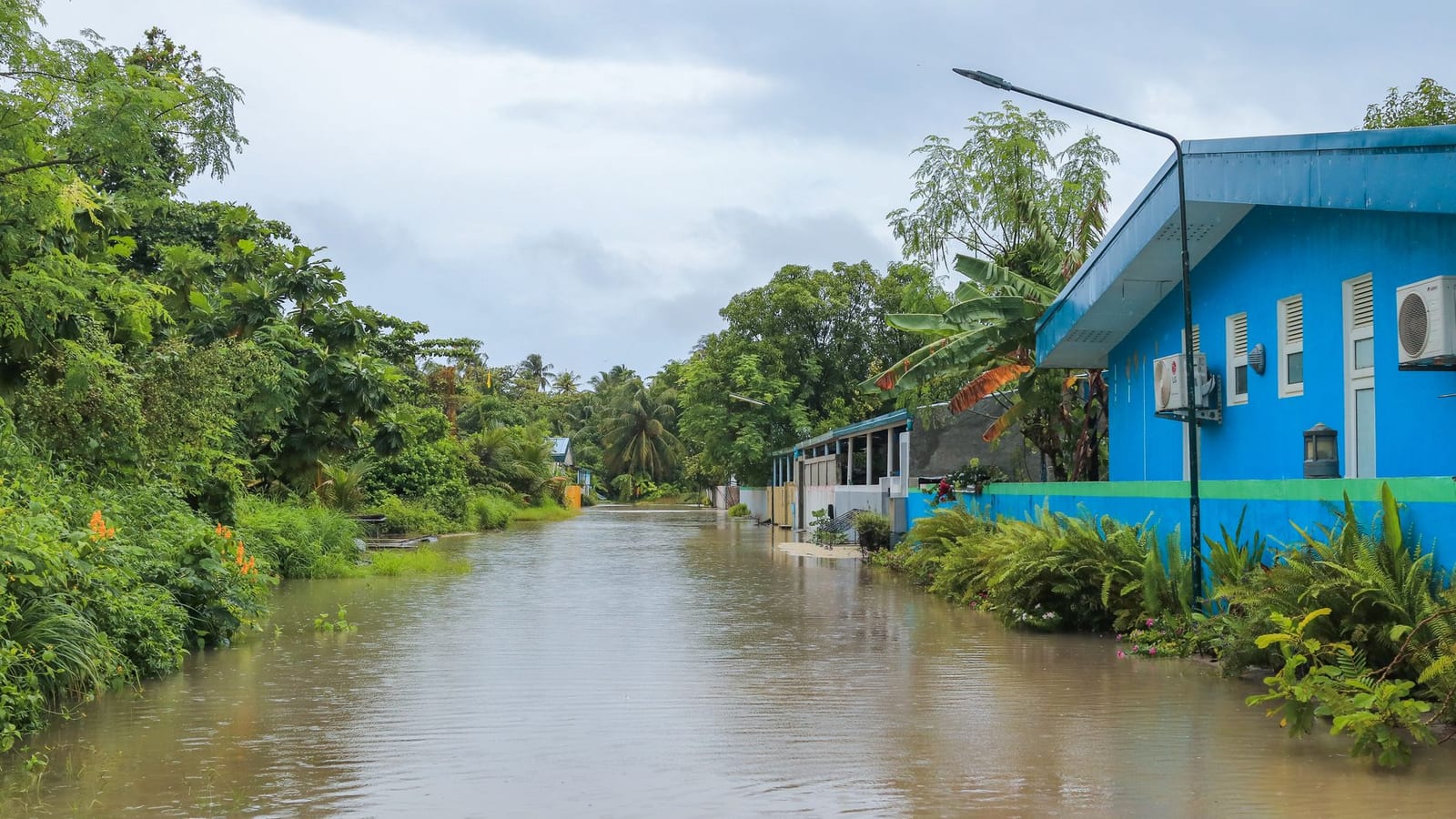 Monsoon Brings Relief and Travel Woes Across States
