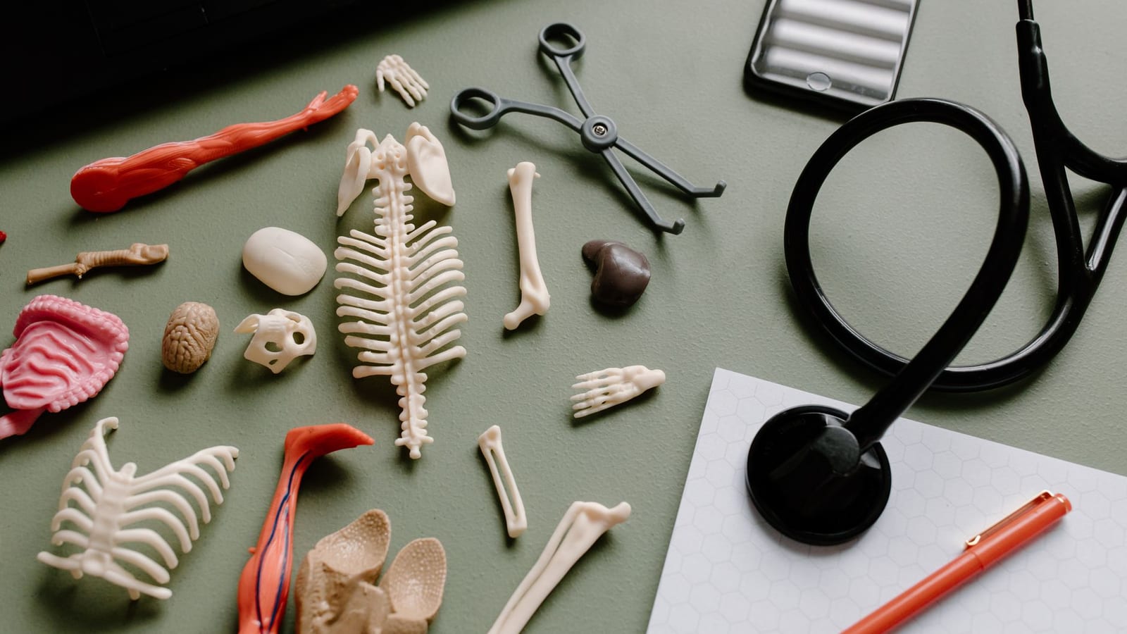 Mumbai Doctor Faces KEM Inquiry After Cadaver Joke