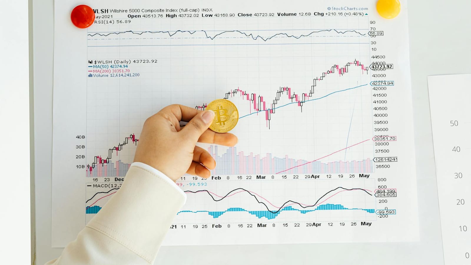 Oil Price Drop Sparks Broad Rally On Dalal Street
