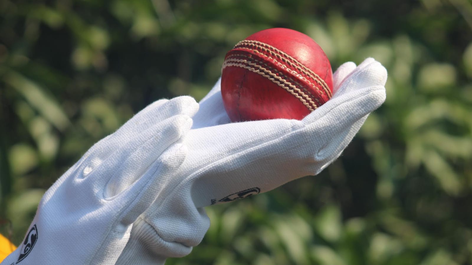 Punjab Cricketer Amanpreet Gill, Kohli's U-19 Teammate, Dies at 36