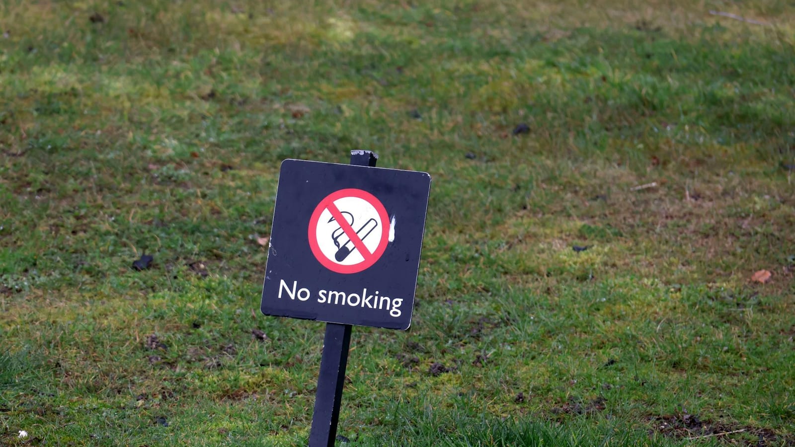 Quitting Smoking May Lower Dementia Risk in Seniors