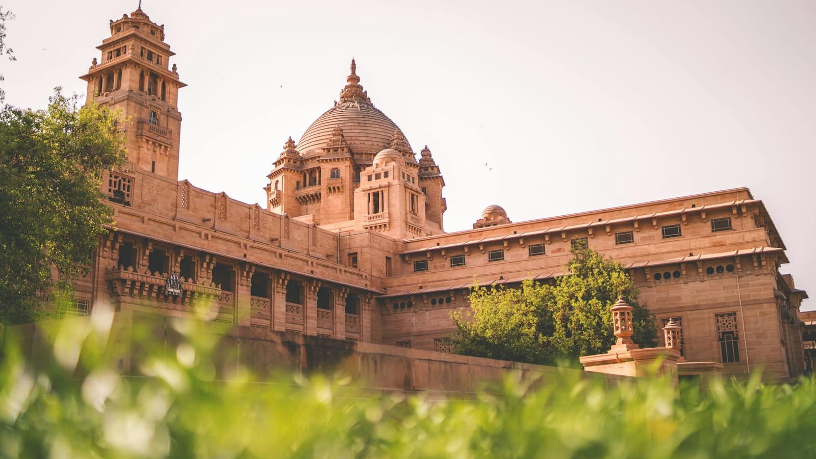 Rajasthan HC Stays Pinky Meena Suspension in Bribe Case